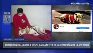 Bomberos hallaron a su mascota Zeus, luego de un mes de estar perdida