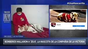 Los rescatistas hallaron a su mascota Zeus