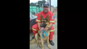 Can ayuda en labores de rescate y se perdió el último sábado.