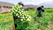 Foto: El Peruano