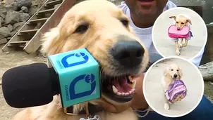 Foto y video: América Noticias