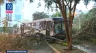 Bus del Corredor Azul se despista y choca contra árbol en Cercado