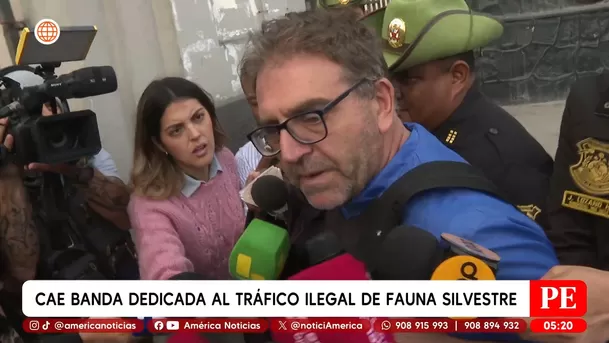 Cae banda dedicada al tráfico ilegal de fauna silvestre en Iquitos. Foto: América Noticias