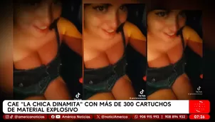 Llevaba más de 300 cartuchos explosivos escondidos en un bus