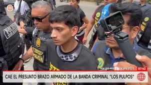 Los Pulpos son considerados una de las organizaciones criminales más peligrosas / Video: América Noticias