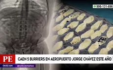 Caen 5 burriers en el aeropuerto Jorge Chávez en lo que va del año - Noticias de burriers