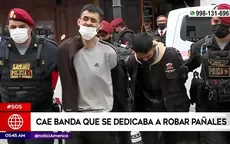 Callao: Cae banda que se dedicaba a robar pañales - Noticias de eliminatorias-2014
