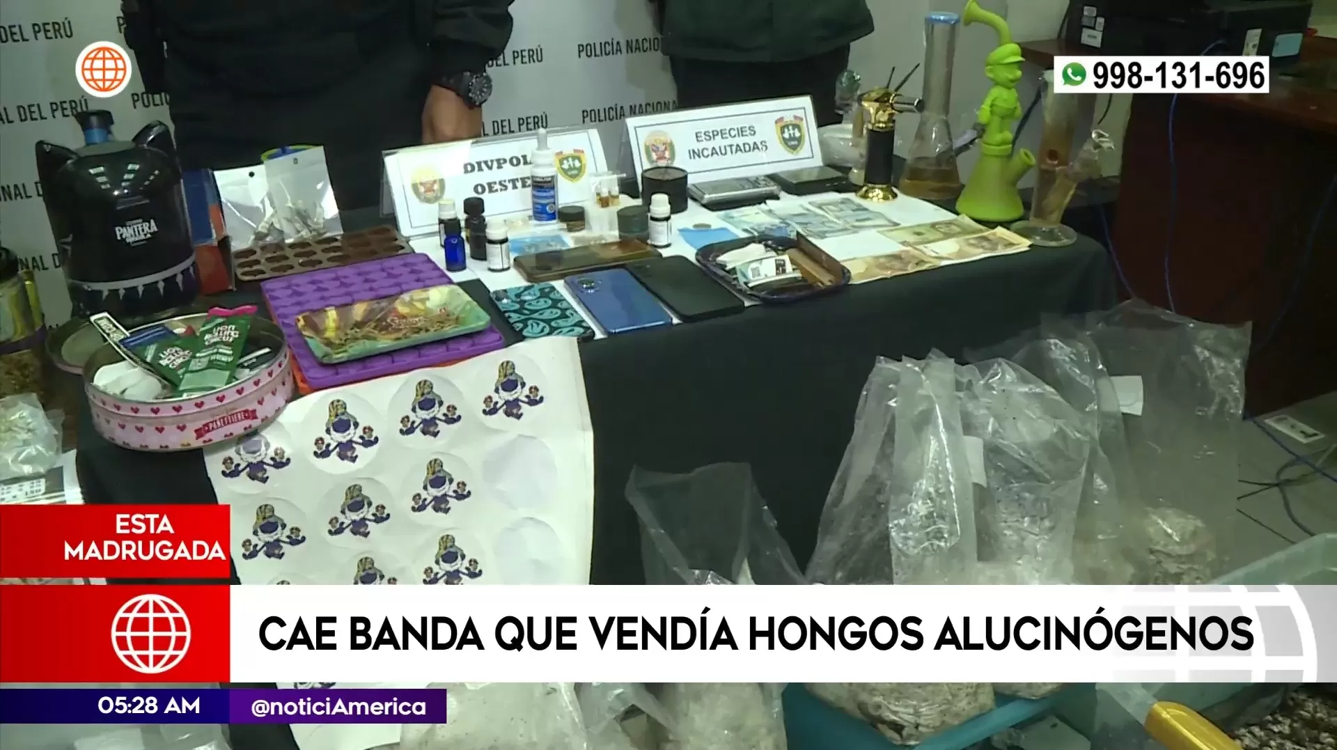 Banda vendía hongos alucinógenos en el Callao. Foto: América Noticias