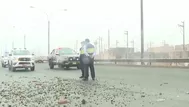 Oleaje anómalo en la Costanera lanza rocas y genera alarma