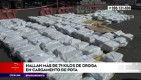 América Noticias