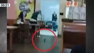 Callao: Una rata causó pánico en clientes de restaurante