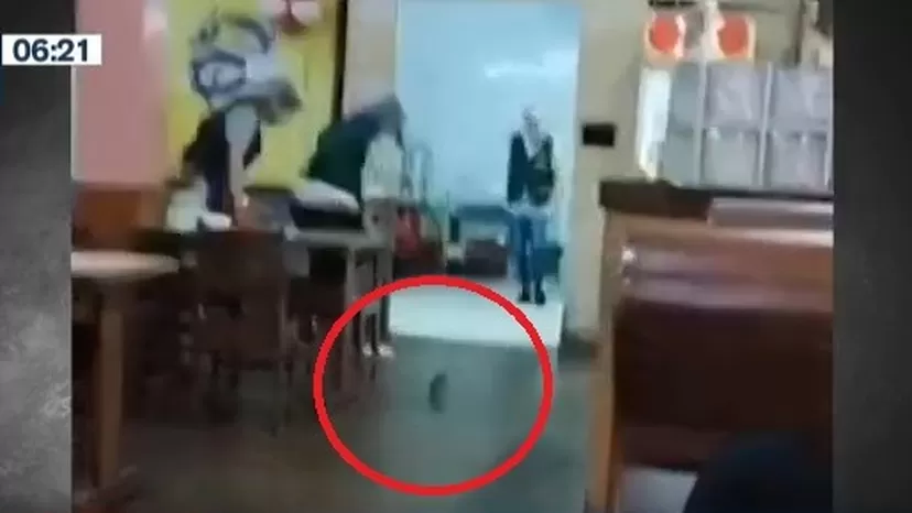 Callao: Una rata causó pánico en clientes de restaurante