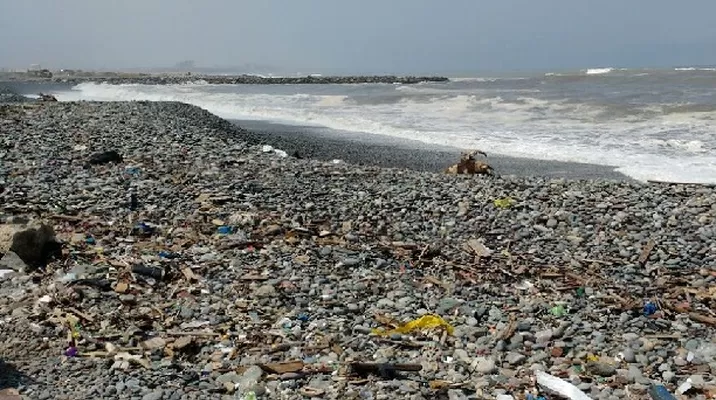 Vecinos y la Marina de Guerra realizaron actividad para limpiar la playa / Andina