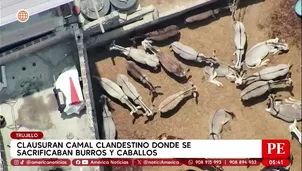 Clausuran camal clandestino donde mataban caballos y burros en Trujillo. Foto y video: América Noticias