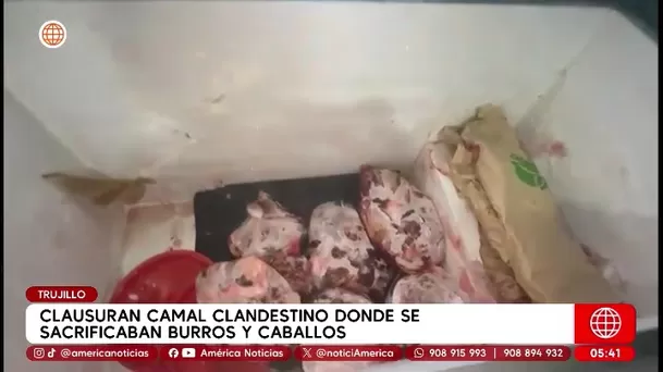 Clausuran camal clandestino donde mataban caballos y burros en Trujillo. Foto: América Noticias Clausuran camal clandestino donde mataban caballos y burros en Trujillo. Foto: América Noticias