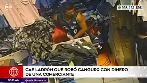 Una cámara de seguridad captó el momento en que un delincuente 