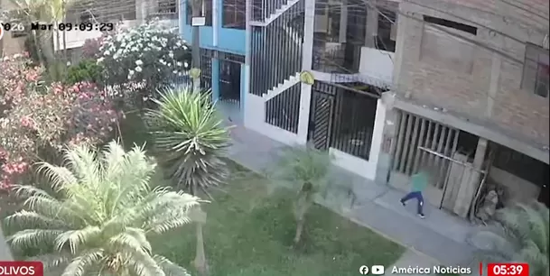 Cámaras captan a hombre que intentó llevarse a niña de cinco años en Los Olivos. Foto: América Noticias