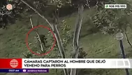 Cámaras captaron a hombre que dejó veneno para perros