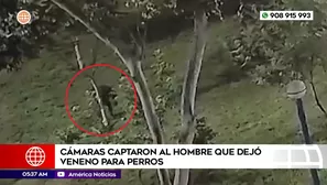 Cámaras captaron a hombre que dejó veneno para perros en Santa Anita. Foto y video: América Noticias