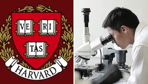 Foto y video: Canal N