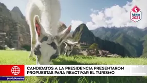 Es por esa razón que la Cámara Nacional de Turismo realizó un foro en el que participaron cuatro candidatos