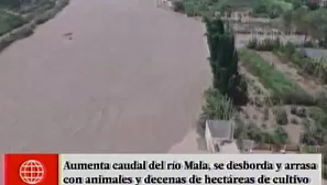 Uno de los vecinos denunció que las autoridades no descolmataron el río Mala. Foto y video: América Noticias