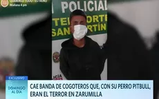 Capturan a banda de “cogoteros” que sembraron el terror en Zarumilla - Noticias de cogoteros