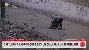 Capturan a ladrón que robó celular a joven en San Juan de Miraflores. Foto y video: América Noticias