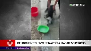 América Noticias