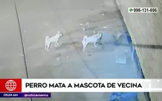 Carabayllo: Perro mata a mascota de vecina - Noticias de elecciones 2021
