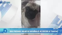 Foto y video: América Noticias