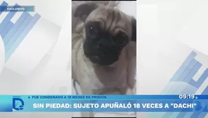 Foto y video: América Noticias