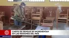 Casos de dengue se incrementan en 21 regiones del Perú