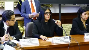 Foto: Congreso - Video: Canal N
