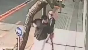 La CCL condenó la agresión a Renata Pulcha en Miraflores y pidió sanciones. Video: Canal N