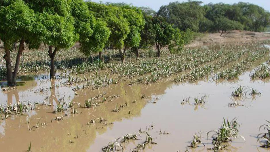 Crecida de río arrasó con casas y zonas de cultivo en San Martín