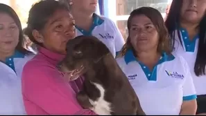 Más de 20 perros fueron rescatados del incendio que se registró el último viernes. / Video: Canal N