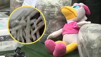 La Policía detuvo a una banda que comercializaba drogas que escondían en peluches - Foto y video: Canal N