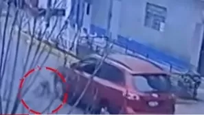 Cercado de Lima: Camioneta atropella y mata a perro