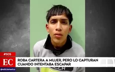 Cercado de Lima: Roba cartera a mujer pero lo capturan cuando intentaba escapar - Noticias de maraton-lima-42k