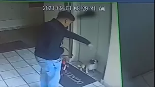 a violenta reacción contra este perrito se inició pasada las 8 de la mañana del domingo. / Video: Canal N