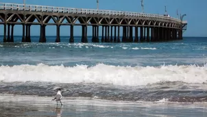 Cerro Azul, playa al sur de Lima. Foto: Panoramio.com