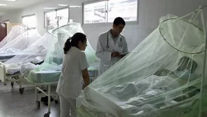 El 1 de agosto se dio de alta la epidemia del dengue, marcando la transición a una fase endémica. / Video: Canal N