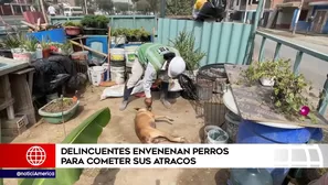 Video: América TV