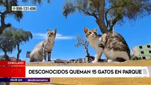 América Noticias