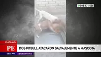 América Noticias