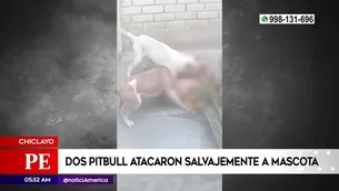 América Noticias