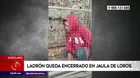 Chiclayo: Ladrón quedó encerrado en jaula de loros