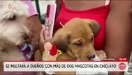 Chiclayo: ordenanza limita tenencia de mascotas a dos por vivienda
