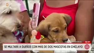 La Municipalidad Provincial de Chiclayo puso en vigencia una ordenanza que regula la tenencia de mascotas y establece que las familias podrán tener hasta dos perros o gatos sin restricciones. / Video: América Noticias